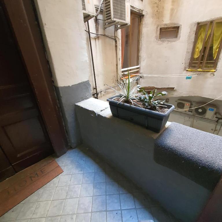 Napolix Centro, Intero Appartamentino, Casa Vacanze, Suite Tricamere Nel Cuore Di Napoli Exterior photo